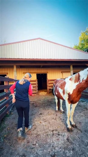 2.6K views · 214 reactions | Our three newest rescues had their first...