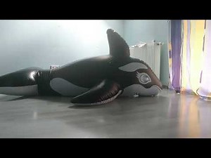Double Layer Orca Suit