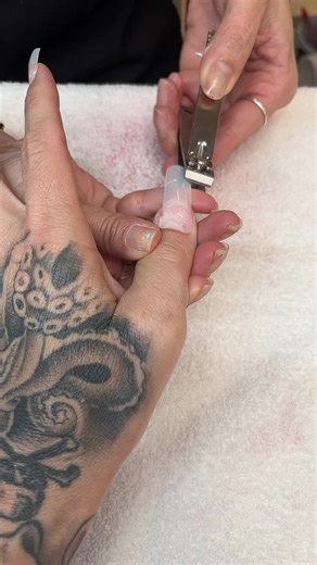 Panda Nails on TikTok