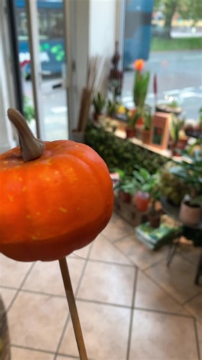 Dorothy's Wild Halloween Night