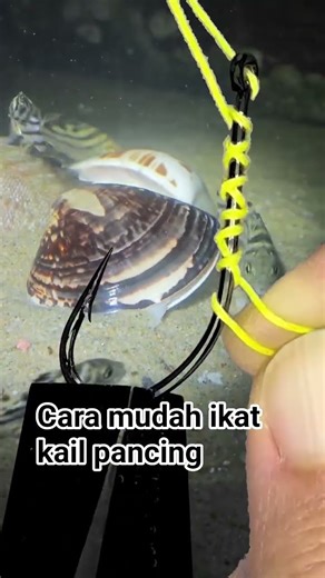 cara mudah ikat kail pancing #fishing #belajarmancing #fishingtips #shorts #shopping