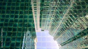 View of reflection in a fish pond. Building reflection on moving water in a fish pond with fish in it. Motion. Close Up.