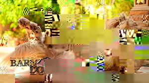 75 reactions · 22 shares | STEROIDS & ANTIBIOTICS NOT SOLVING YOUR...