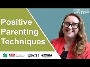 Webinar Series: #2, Positive Parenting Techniques, Empowering Youth and Families Program