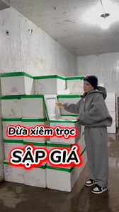Sập giá đúng kiểu tặng không thế này có bao giờ không , dừa hơn 200k uống bét nhè 🤣 | Nguyen Huyen