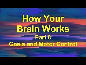 How Your Brain Works Part 8, Goals and Coordinated Motor Control