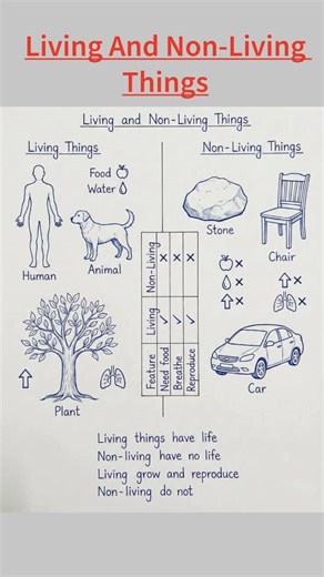Living vs Non-Living Things | Basic Needs of Living Organisms 🌱 | Science Short #shorts