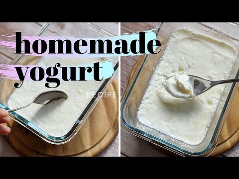 HOMEMADE YOGURT WITH PROBIOTICS - how to make yogurt without yogurt maker - no fancy equipment