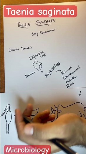 Taenia saginata #microbiology #parasitology
