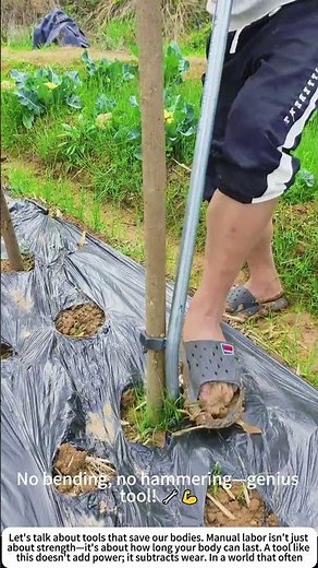 Stand & Deliver: Power-Staking Garden Poles 🥒🔨