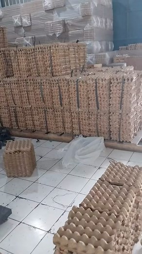 Most countries rely on local producers of eggs to meet their local demands. Egg production and broiler production is an ever green business you start anywhere around the world . #poultry #farmer | Poultrycare.ng