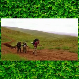 38 reactions | Despite #Israel being sixty percent desert, the country is filled with amazing green spaces. | Israel in San Francisco | Facebook