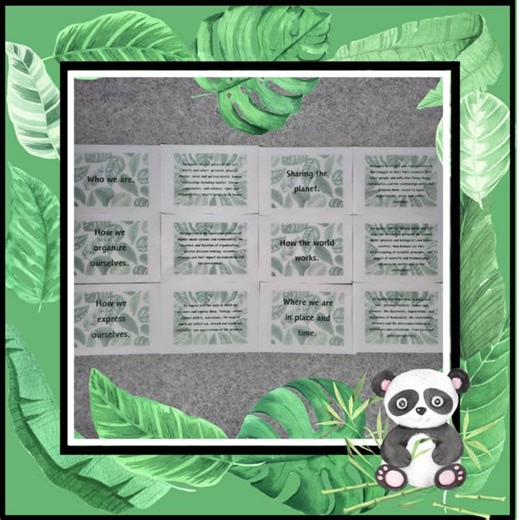 IB PYP Transdisciplinary Themes Posters | Jungle Classroom Decor