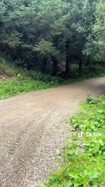 Old World Style Pebble Driveway Ideas for Budget Homes