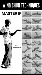 WING CHUN TRAINING WITH IP MAN #wingchun #karate #karatesir786