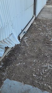 Turkey Jake on Reels