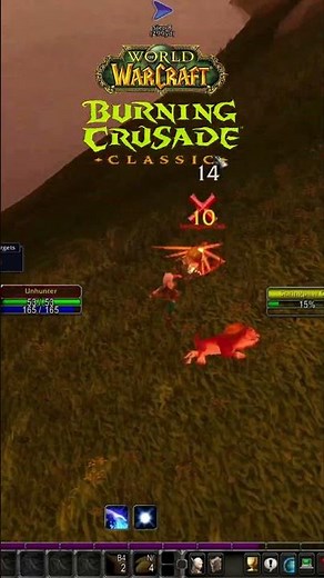 WOW TBC CLASSIC HUNTER LEVELING