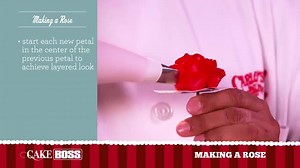 30K views · 1.1K reactions | Master the buttercream rose with Buddy...