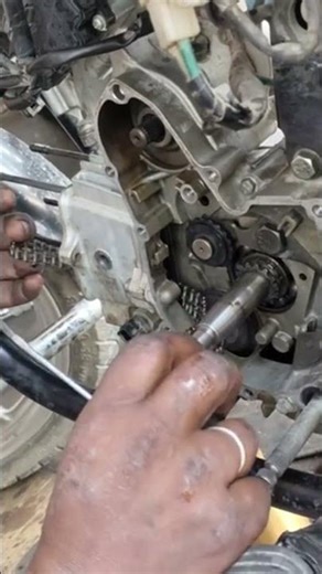 Taming Chains: The Ultimate ARK Survival Solution