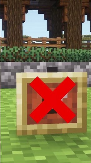 Minecraft Invisible Item Frame Trick 🤯 #minecraft #tricks #hacks #info #informations #minecraftguide