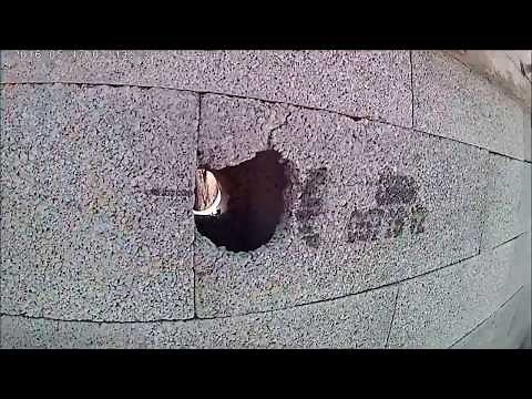 Buses de refoulement de ma piscine (astuce et coffrage)