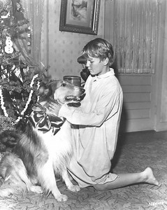 Gary Gray (actor) - Alchetron, The Free Social Encyclopedia