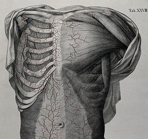 Learn Why Rib Tissue Pain is Such a Common, Yet Undiagnosed Cause of Trunk Pain