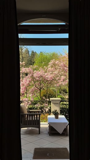 spring is almost here 🌸 #spring #badenbaden