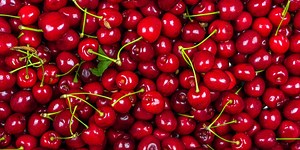 CherryPlus Traceability |  Project | Food Agility CRC