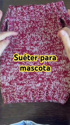 This is how I made the sweater for my dog ​​#begoña'slittlethings #knitters
