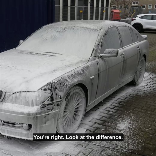 5 days detailing an Alpina B7 | M539 Restorations