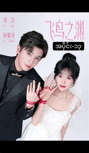 အနက်ဆုံးသို့ပျံသန်းသောအချစ်ငှက်🇨🇳(အပိုင်း-13) #chinesedrama #chineseshortdrama #chinesedramammsub #chinesemyanmartranslater #fyppppppppppppppppppppppp