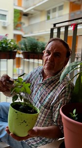 13K views · 35 reactions | Kind acts from elderly neighbor | Tips & Tricks | Facebook