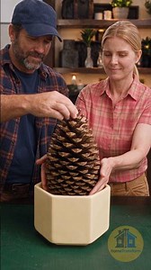 Broken Plant Pot Becomes an Incredible Pinecone Planter! 🌿🌲 #DIY #Gardening