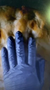 Bread cooking | Dad Comedy HQ