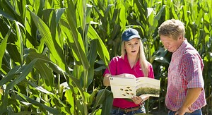 Corn Crop Nutrition | Yara United States