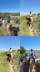 1.1K views · 16 reactions | Trail Rides are in full swing! Bring your family, friends, or yourself out for a fun day exploring the Backcountry Wilderness Area from horseback. Register via the link in the comments. | HRCA Backcountry Wilderness Area | Facebook