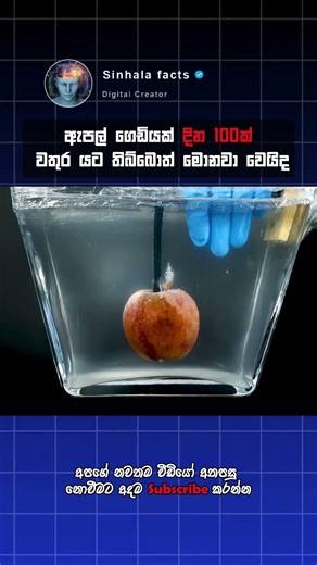 අවුරුද්දක් වතුරෙ යට තිබ්බ ඇපල් ගෙඩියට වුන දේ 😨🍎 | You Won’t Believe This! #sinhala facts