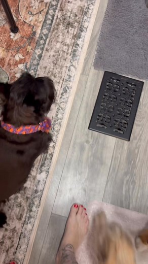 So Meister is loving the fact he gets to train. He loves to show off his skills. And he’s awesome. If you notice they all watch and that’s how the learn. Now we need your help. I had quite a few ask if we were going to change the name of the page since Jager passed. I’ve thought long and hard and we are not going to change it but add to it instead. I want to keep Jager’s Journey because it’s his legacy. I’m going to give 3 choices and if you could all say which one you like best and the favorite