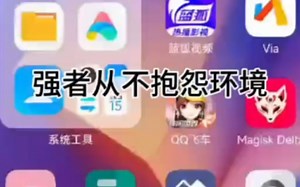 专用机OPPO A5 #刷机 #root #magisk