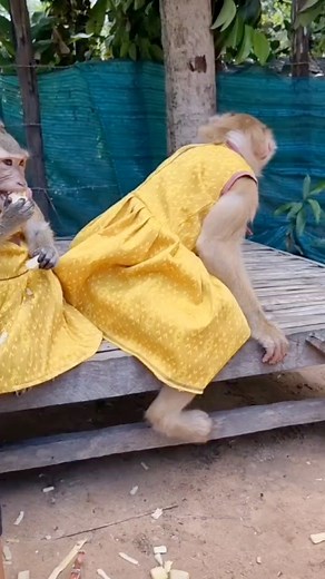 ❤️😀 | YaYa Family