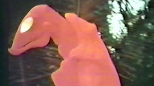 THE PREDATOR Featured an Easter Egg That Referenced Jean-Claude Van Damme's Original PREDATOR Costume — GeekTyrant