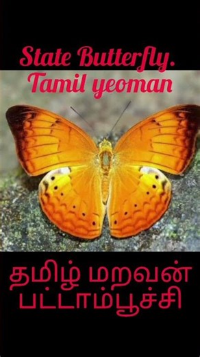 Tamil nadu symbols # general knowledge # students # Short video #share