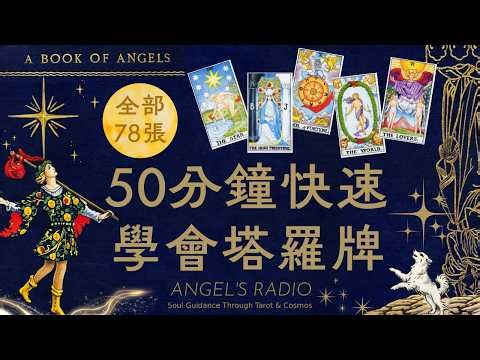 50分鐘學會全部78張塔羅牌！這支影片讓你一看就懂！快速掌握塔羅牌⭐️其實比你想的還簡單 【中文字幕】