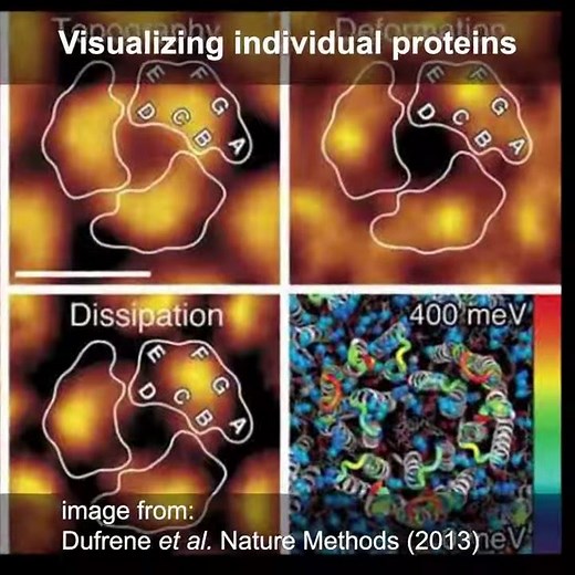 TechThursday XXII: AFM - Atomic force microscopy