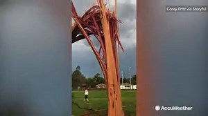 15K views · 92 reactions | This is what happened when lightning caused a tree to explode in Queensland, Australia on Sunday: | AccuWeather | Facebook
