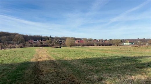 🔴 Dorf und Natur zwischen Schritte sammeln und Döner genießen | !zecplus