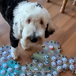 My Conversations with Bunny are Absolutely Amazing! | Whataboutbunny