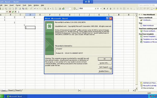 与经典同行的软件---Office XP Beta 2 2202安装与体验