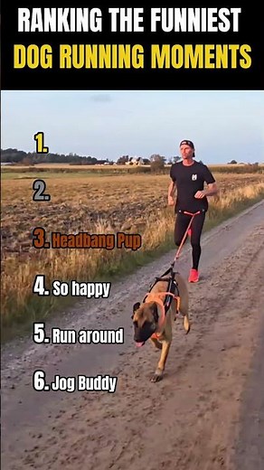 RANKING THE FUNNIEST DOG RUNNING MOMENTS! 🐶🏃‍♂️